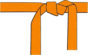 LEAN ORANGE BELT